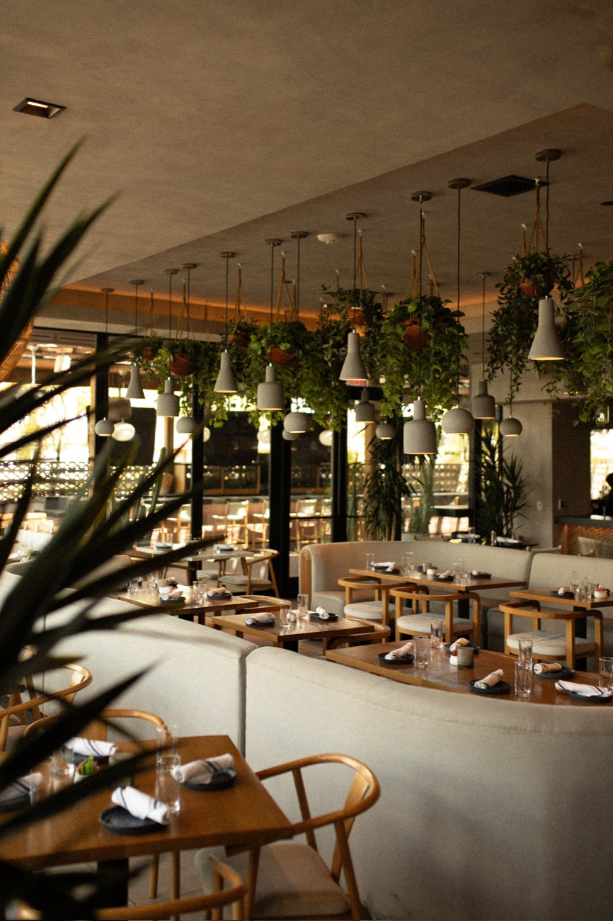 Cala Scottsdale dining room interior with hanging plants and pendant lighting at the Senna House Hotel