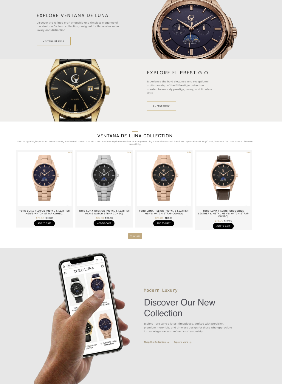 Toro Luna website designed by Casaccio Media
